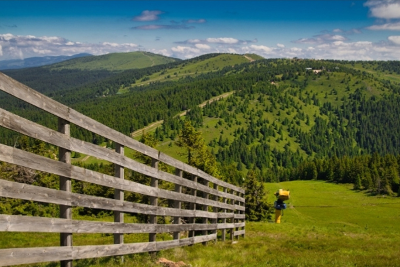 Kopaonik