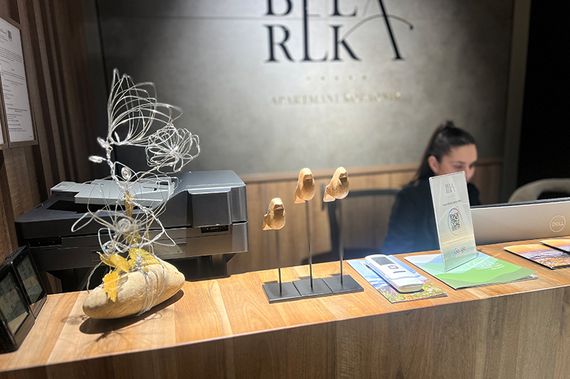 Recepcija Apartmani Bela Reka 03
