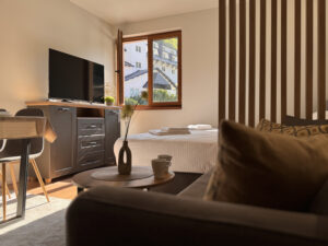 Comfort Studio Apartman (6)