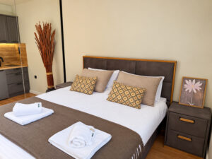 Premium apartman sa dve spavace sobe (13)
