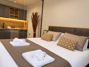 Premium apartman sa dve spavace sobe (19)